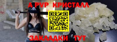 СК Гатчина