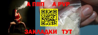 СК Гатчина