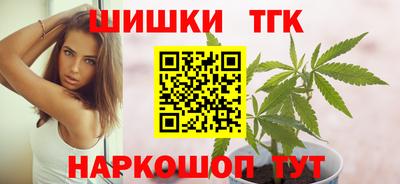 СК Гатчина