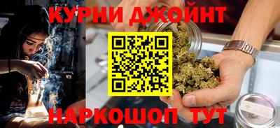 СК Гатчина