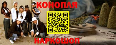 СК Гатчина