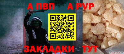 СК Гатчина