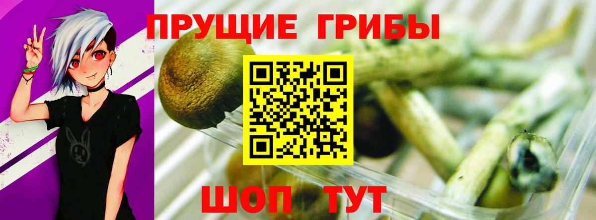 Барабинск  Псилоцибиновые грибы MAGIC MUSHROOMS  Вход с VPN 